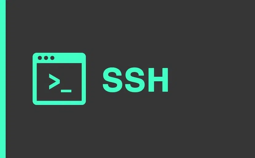 Cómo acceder a Debian 12 vía SSH desde Windows 11 usando un certificado ...